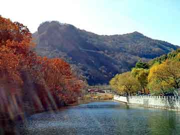 管家婆黑白马报图库，洗油